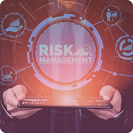 Risk governance